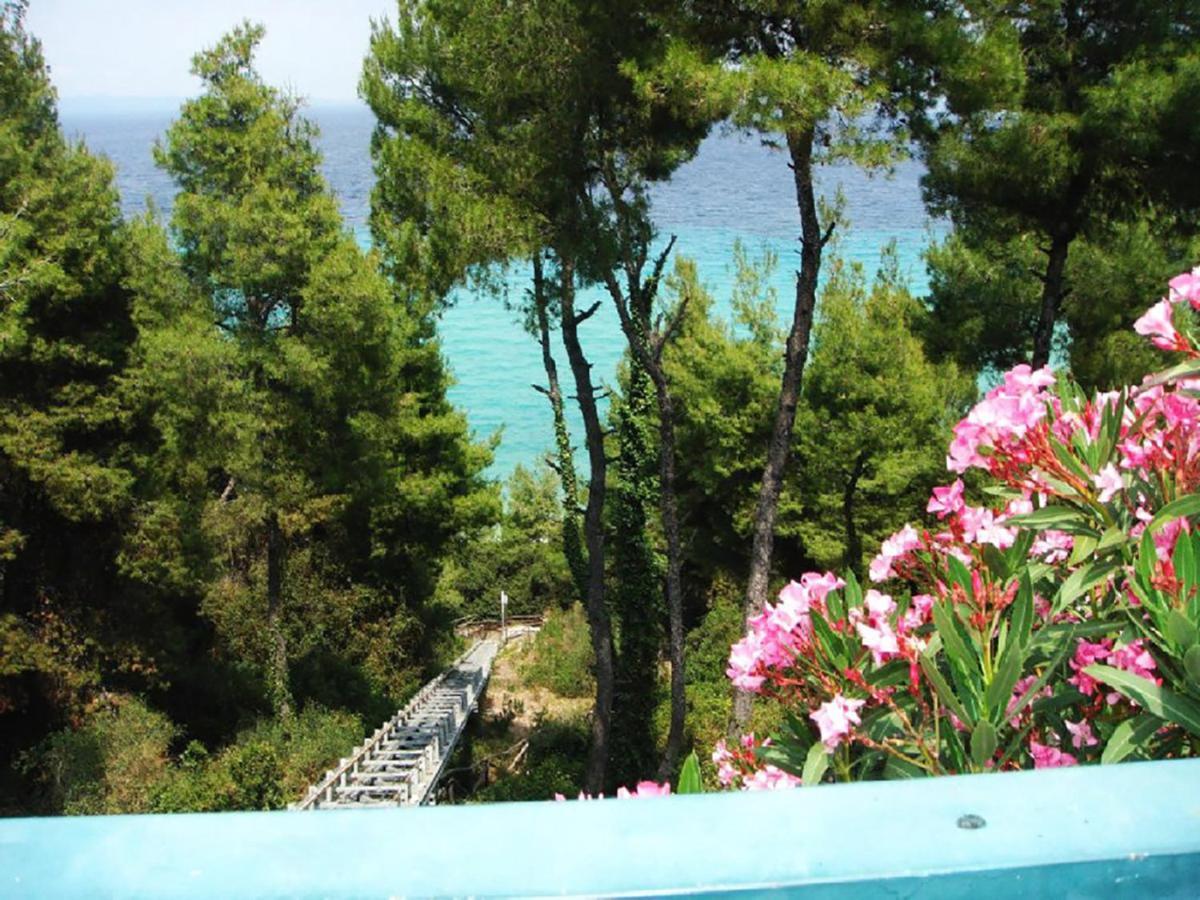 Porto Thea Alexandra Shared Pool Villa, Afytos Exterior foto